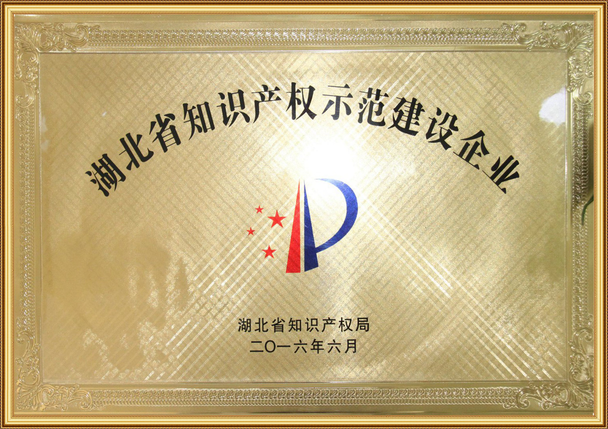 2016年被评为:“湖北省知识产权示范建设企业”